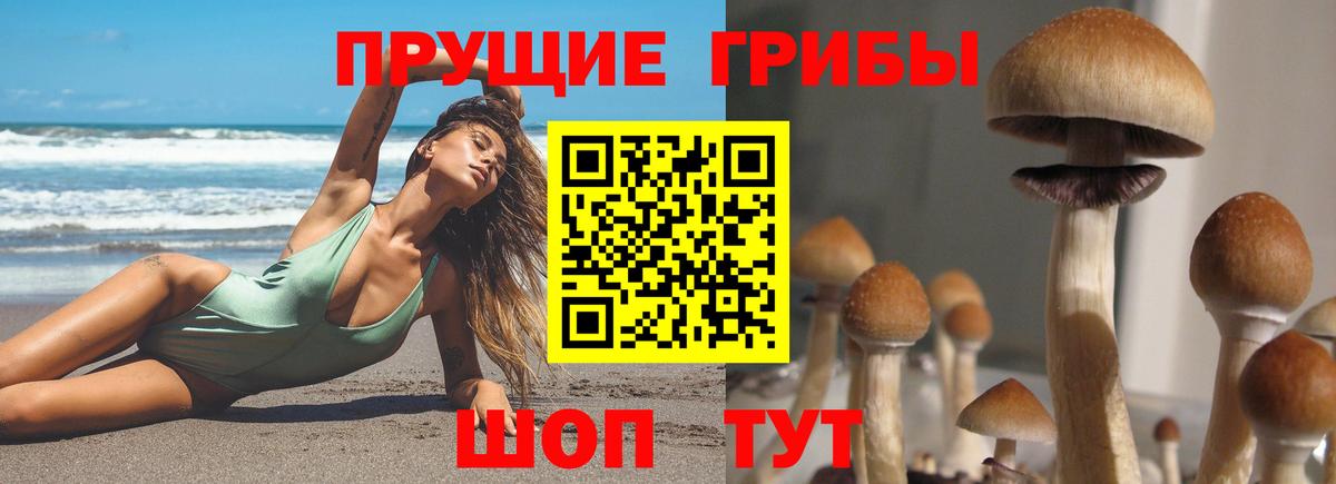 Междуреченск  закладки  Вход с VPN  Галлюциногенные грибы мицелий 