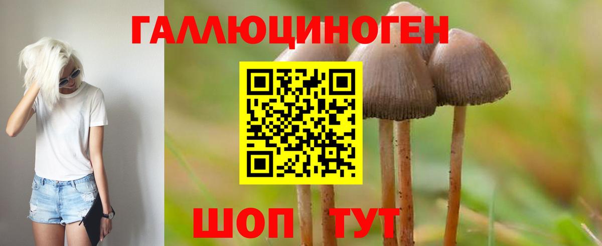 Галлюциногенные грибы Magic Shrooms Междуреченск